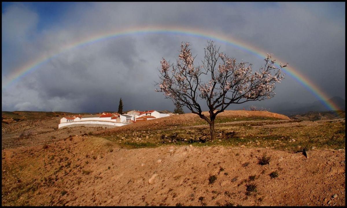 B&B Los Lujos Oria Exteriér fotografie